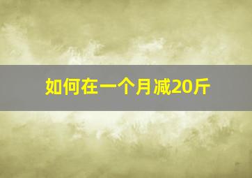 如何在一个月减20斤