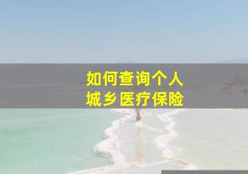 如何查询个人城乡医疗保险