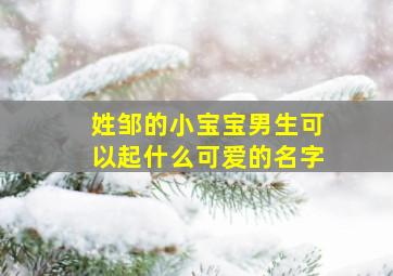 姓邹的小宝宝男生可以起什么可爱的名字