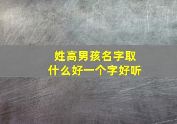 姓高男孩名字取什么好一个字好听