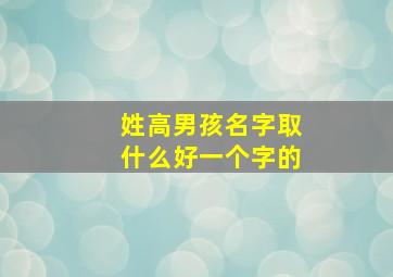 姓高男孩名字取什么好一个字的