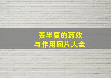 姜半夏的药效与作用图片大全