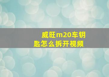 威旺m20车钥匙怎么拆开视频