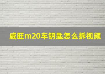 威旺m20车钥匙怎么拆视频