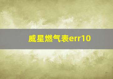 威星燃气表err10