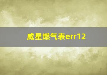 威星燃气表err12