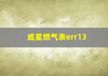 威星燃气表err13