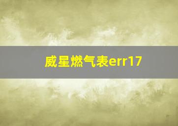 威星燃气表err17