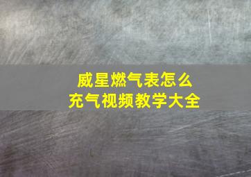 威星燃气表怎么充气视频教学大全