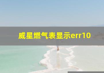 威星燃气表显示err10