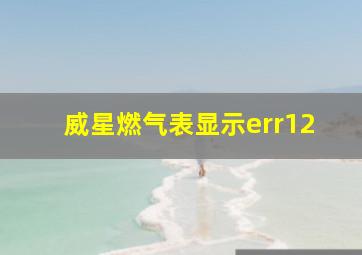 威星燃气表显示err12