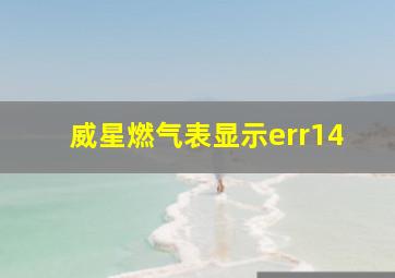 威星燃气表显示err14