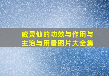 威灵仙的功效与作用与主治与用量图片大全集