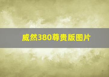 威然380尊贵版图片