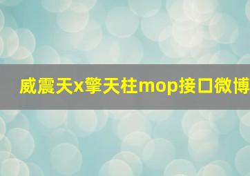 威震天x擎天柱mop接口微博