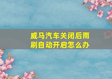 威马汽车关闭后雨刷自动开启怎么办