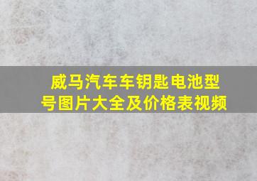 威马汽车车钥匙电池型号图片大全及价格表视频