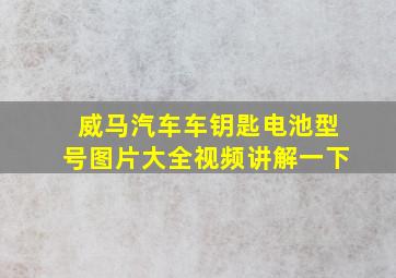 威马汽车车钥匙电池型号图片大全视频讲解一下