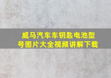 威马汽车车钥匙电池型号图片大全视频讲解下载