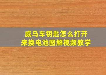 威马车钥匙怎么打开来换电池图解视频教学