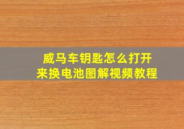 威马车钥匙怎么打开来换电池图解视频教程