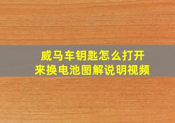 威马车钥匙怎么打开来换电池图解说明视频