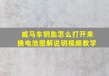 威马车钥匙怎么打开来换电池图解说明视频教学