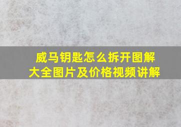 威马钥匙怎么拆开图解大全图片及价格视频讲解