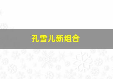 孔雪儿新组合