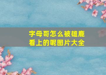 字母哥怎么被雄鹿看上的呢图片大全