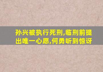 孙兴被执行死刑,临刑前提出唯一心愿,何勇听到惊讶