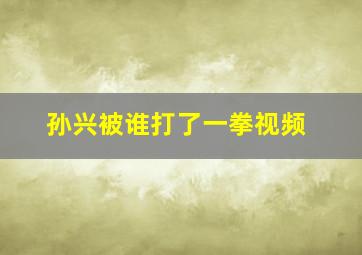 孙兴被谁打了一拳视频