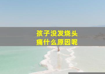 孩子没发烧头痛什么原因呢