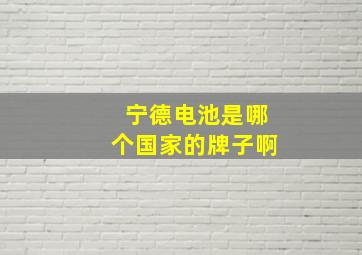 宁德电池是哪个国家的牌子啊