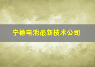 宁德电池最新技术公司