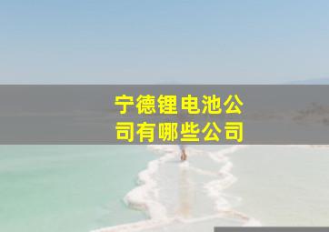 宁德锂电池公司有哪些公司