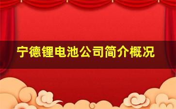 宁德锂电池公司简介概况