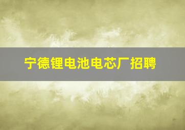 宁德锂电池电芯厂招聘