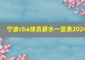 宁波cba球员薪水一览表2024