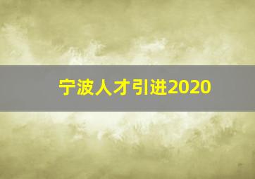 宁波人才引进2020