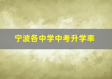 宁波各中学中考升学率