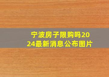 宁波房子限购吗2024最新消息公布图片