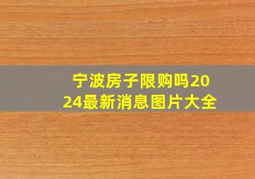 宁波房子限购吗2024最新消息图片大全