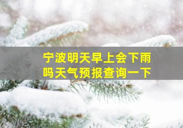 宁波明天早上会下雨吗天气预报查询一下