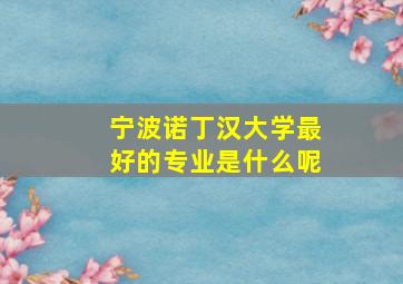 宁波诺丁汉大学最好的专业是什么呢