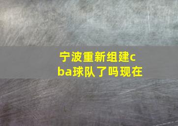 宁波重新组建cba球队了吗现在