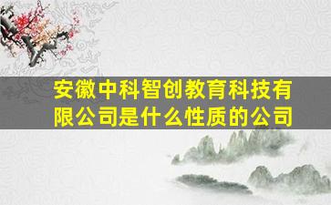 安徽中科智创教育科技有限公司是什么性质的公司