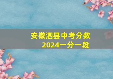 安徽泗县中考分数2024一分一段