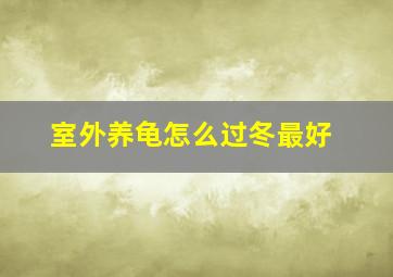 室外养龟怎么过冬最好