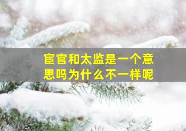 宦官和太监是一个意思吗为什么不一样呢